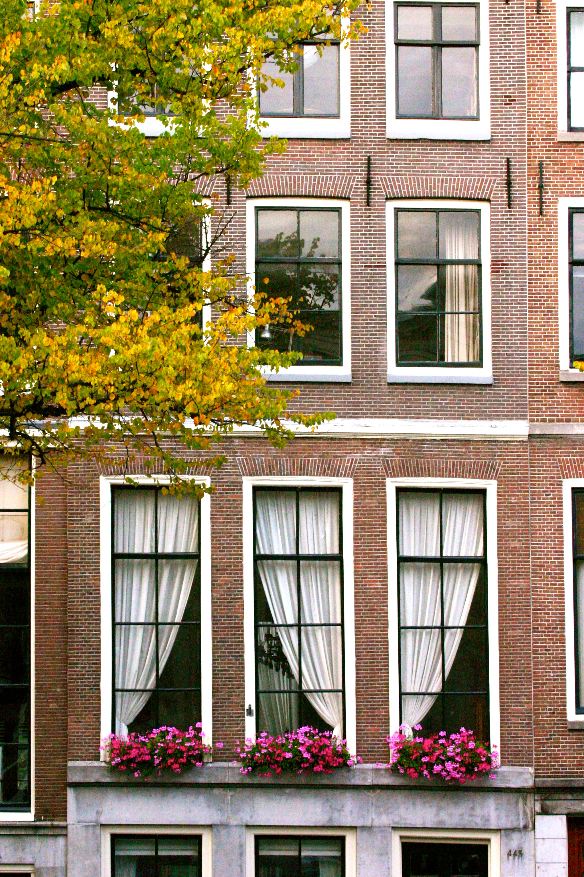 windows, Amsterdam