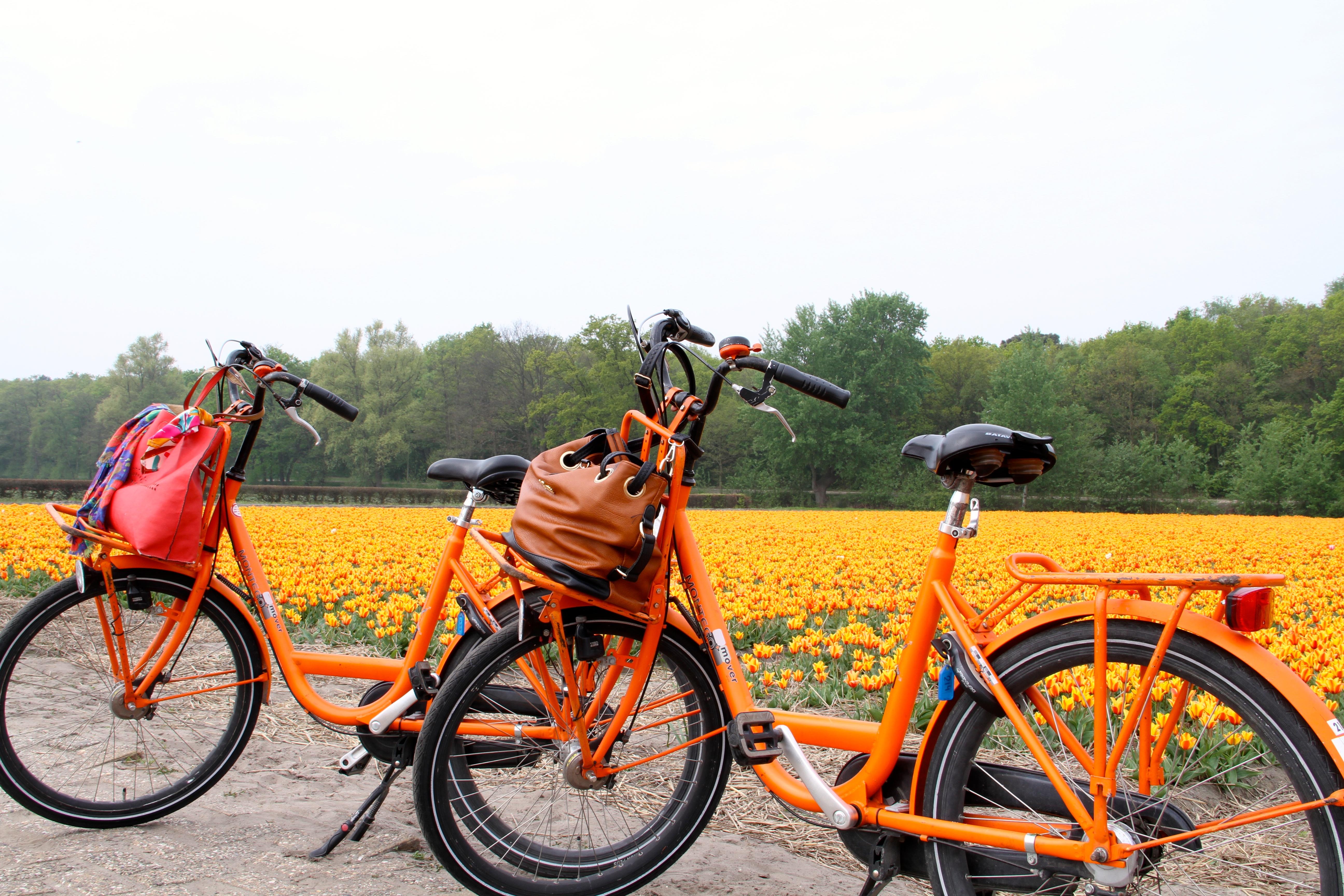 Amsterdam, Lisse, Keukenhof