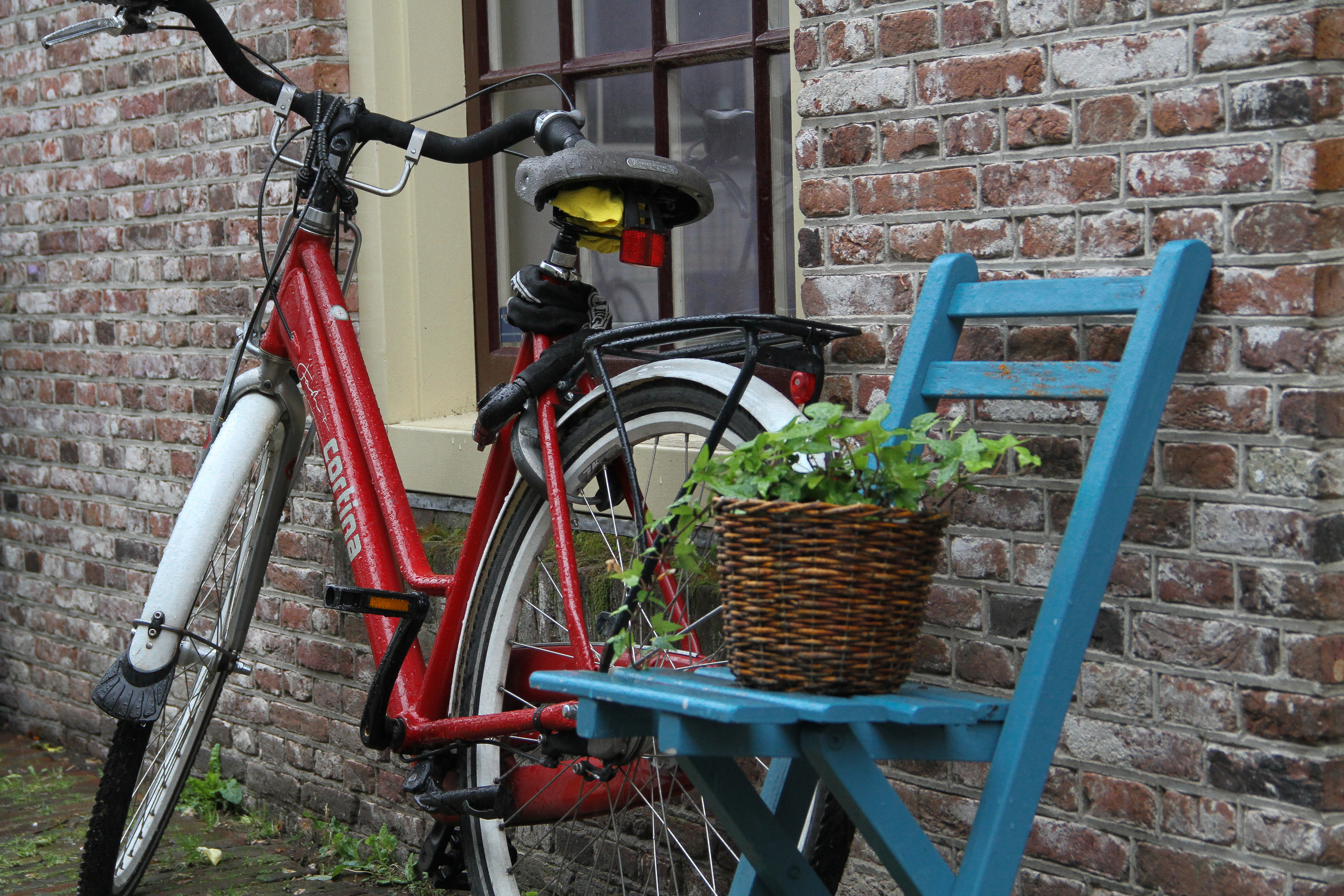 Utrecht, Netherlands photography, Julie Willard, Julia Willard, Falling Off Bicycles