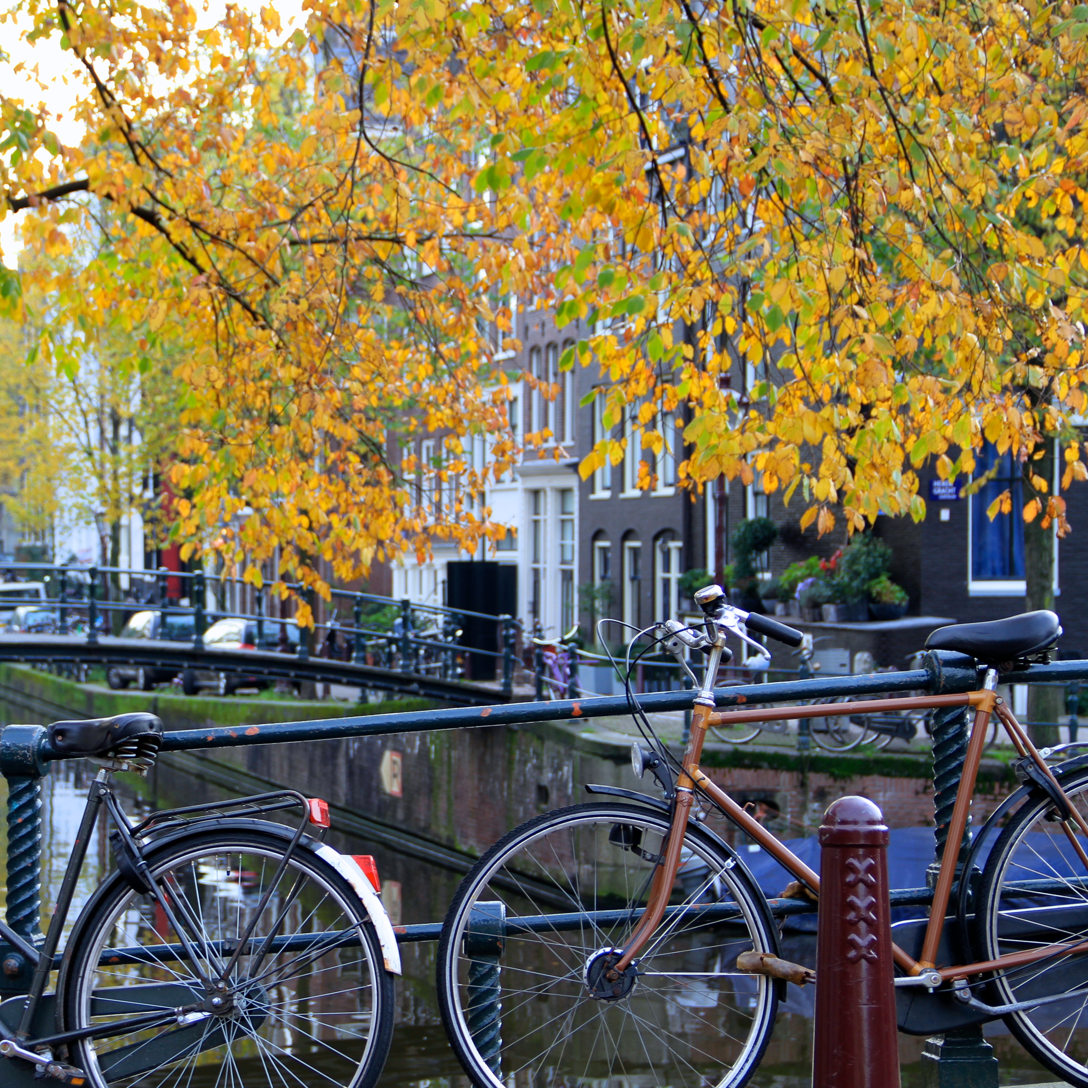 Amsterdam, Fall, Falling Off Bicycles