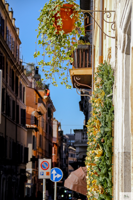 Julia Willard, Julie Willard, Falling Off Bicycles, Julia Arias, bike in France, American in Rome,, Christmas in Rome, cycle Rome