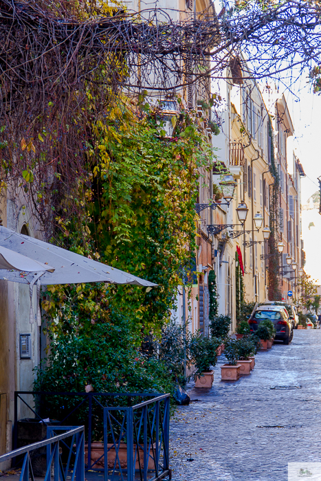 Julia Willard, Julie Willard, Falling Off Bicycles, Julia Arias, bike in France, American in Rome,, Christmas in Rome, cycle Rome