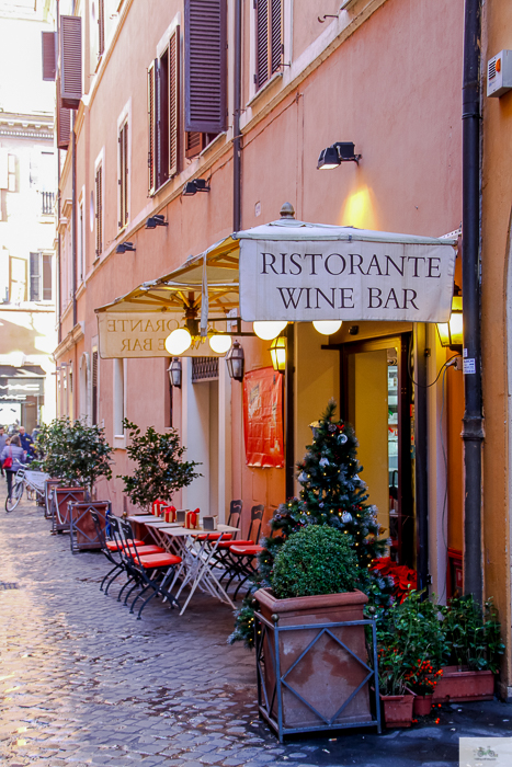 Julia Willard, Julie Willard, Falling Off Bicycles, Julia Arias, bike in France, American in Rome,, Christmas in Rome, cycle Rome