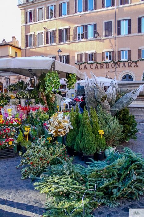 Julia Willard, Julie Willard, Falling Off Bicycles, Julia Arias, bike in France, American in Rome,, Christmas in Rome, cycle Rome