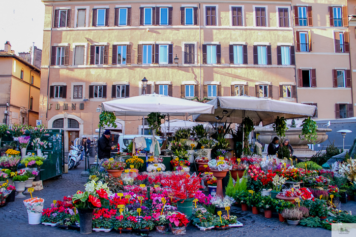 Julia Willard, Julie Willard, Falling Off Bicycles, Julia Arias, bike in France, American in Rome,, Christmas in Rome, cycle Rome