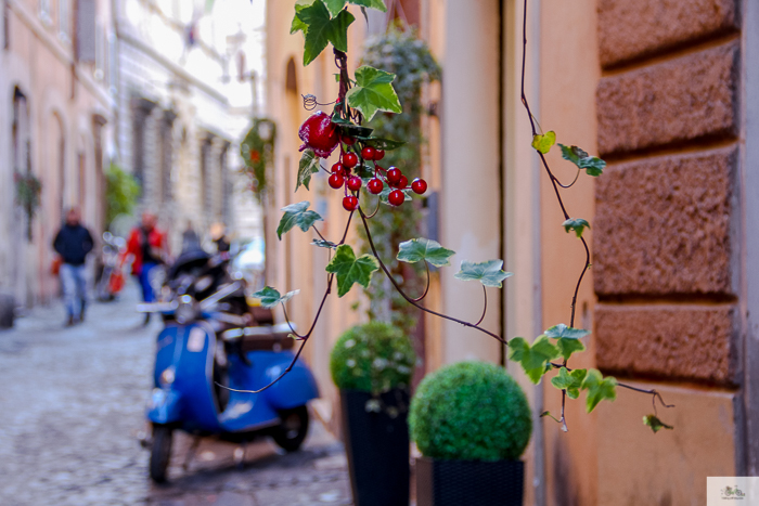 Julia Willard, Julie Willard, Falling Off Bicycles, Julia Arias, bike in France, American in Rome,, Christmas in Rome, cycle Rome