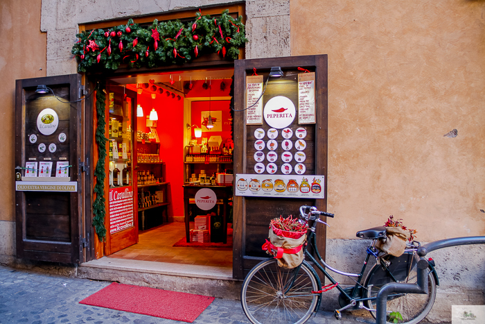 Julia Willard, Julie Willard, Falling Off Bicycles, Julia Arias, bike in France, American in Rome,, Christmas in Rome, cycle Rome