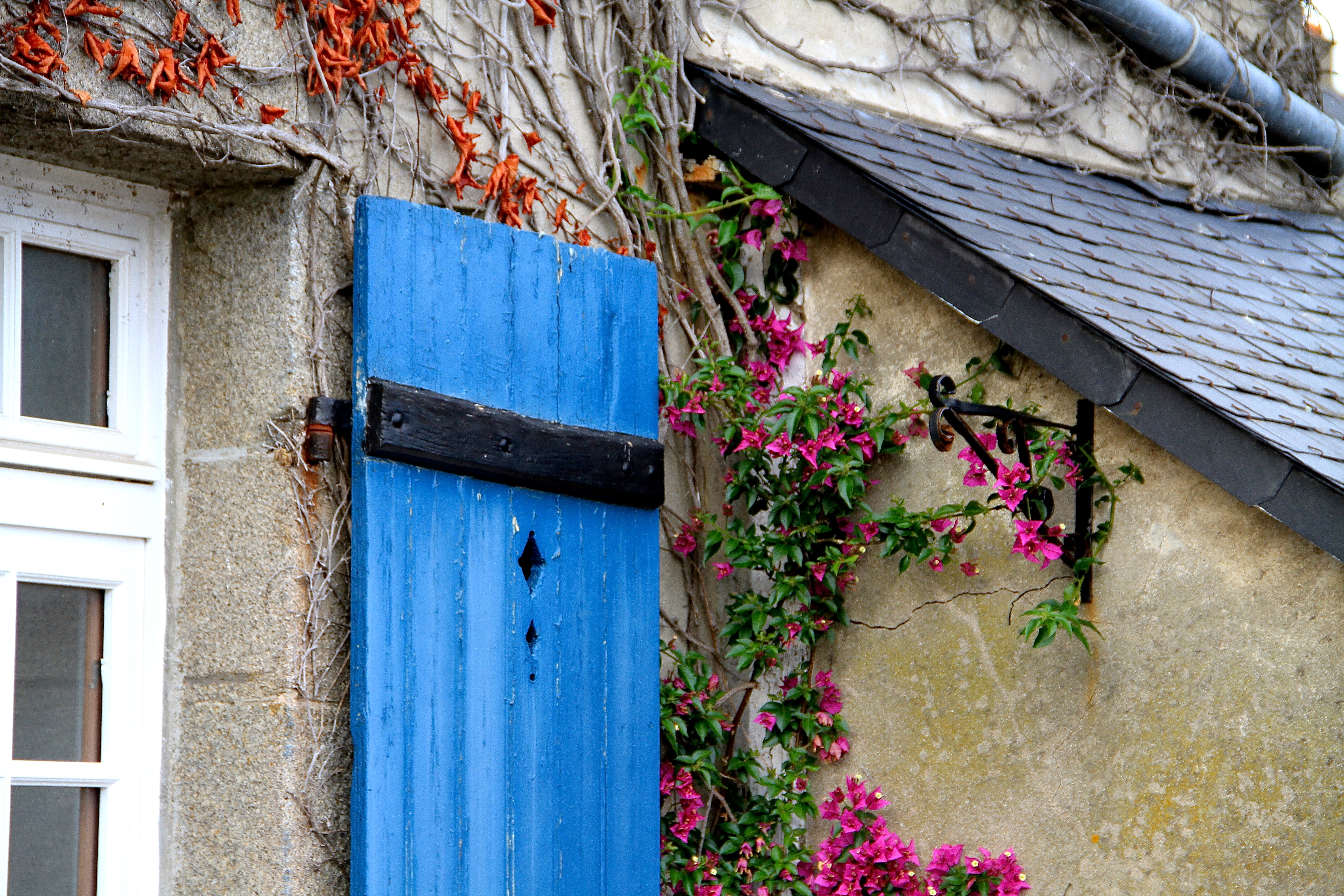 Julia Willard, Julie Willard, Falling Off Bicycles, Paris, Paris photographer, Amsterdam photographer, Bretagne, Brittany, bougainvillea, shutters