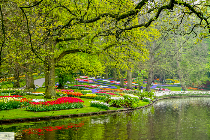 Keukenhof, Falling Off Bicycles, cycle Holland, biking Amsterdam, Amsterdam day trip, Spring in Holland, Netherlands spring, tulip fields, Lisse