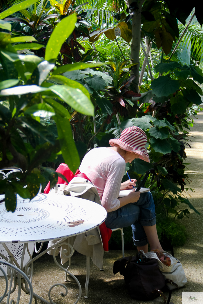 Julia Willard, Julie Willard, Falling Off Bicycles, 16th arrondissement, Serres d'Auteuil, botanical garden Paris, flowers, plants, Paris garden, garden