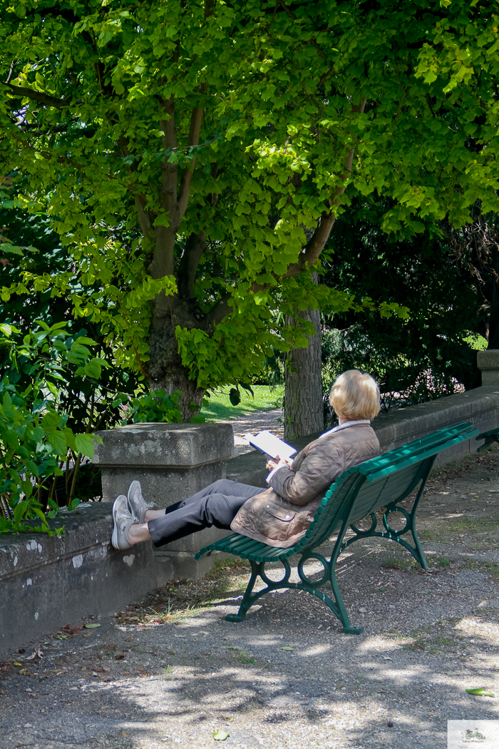 Julia Willard, Julie Willard, Falling Off Bicycles, 16th arrondissement, Serres d'Auteuil, botanical garden Paris, flowers, plants, Paris garden, garden