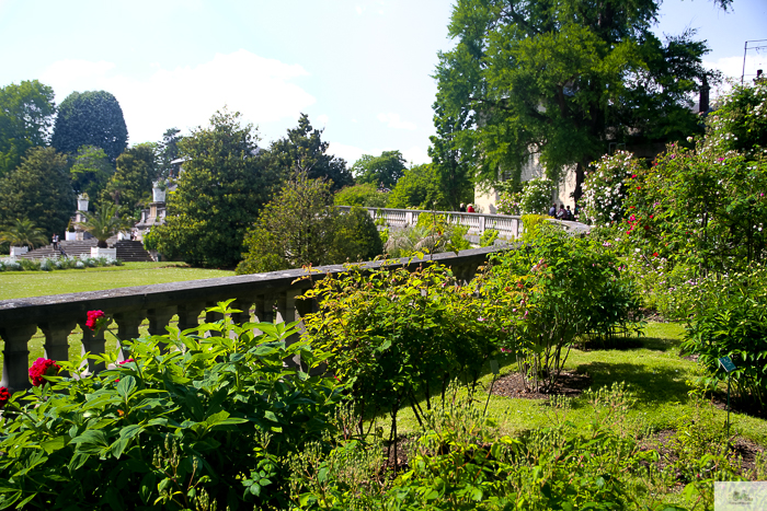 Julia Willard, Julie Willard, Falling Off Bicycles, 16th arrondissement, Serres d'Auteuil, botanical garden Paris, flowers, plants, Paris garden, garden