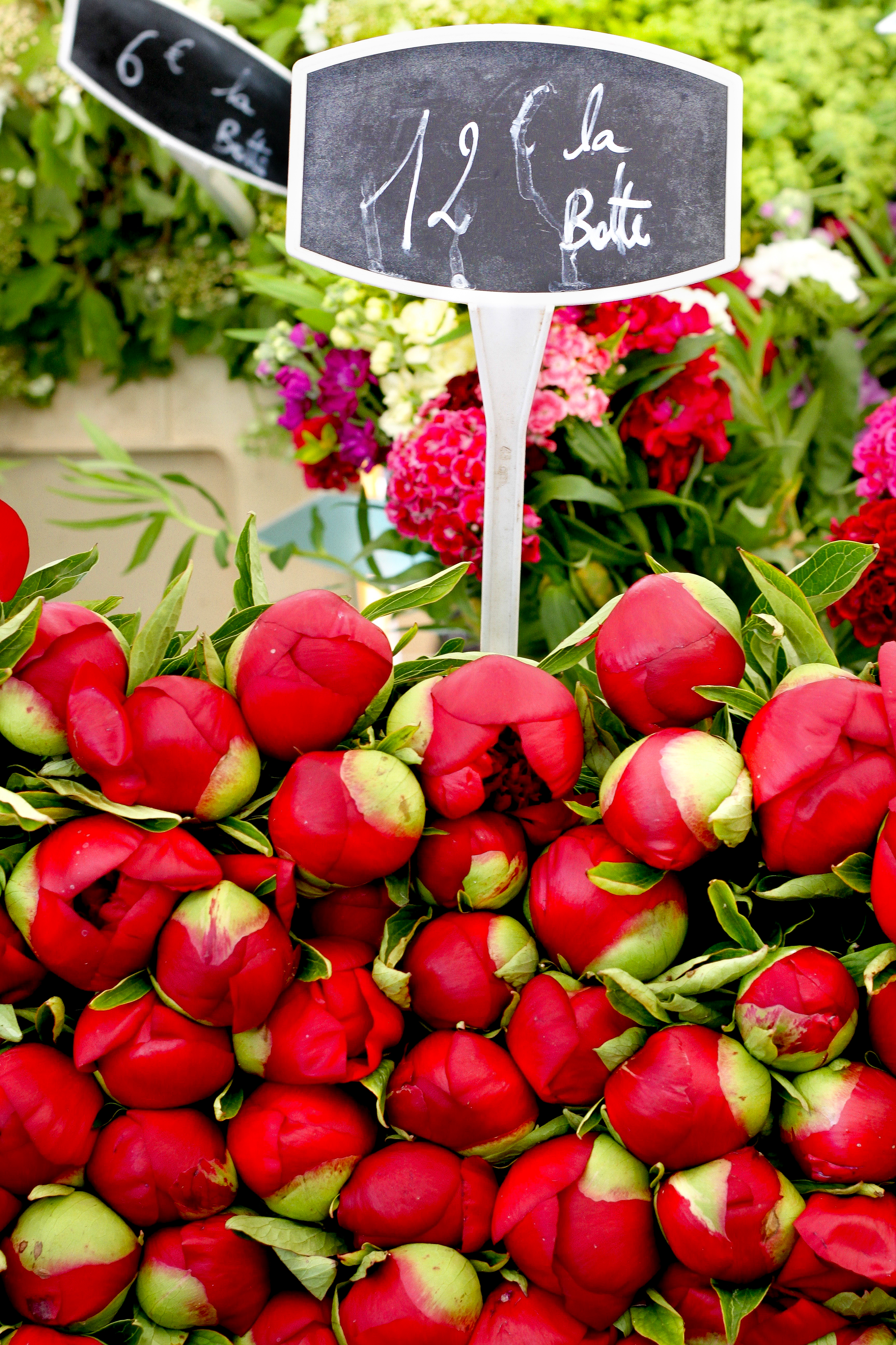 Julia Willard, Julie Willard, Falling Off Bicycles, peonies, pivoines, marche de paris