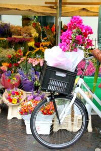 Julia Willard, Falling Off Bicycles, Holland, Netherlands, flower market, bloemenmarkt,