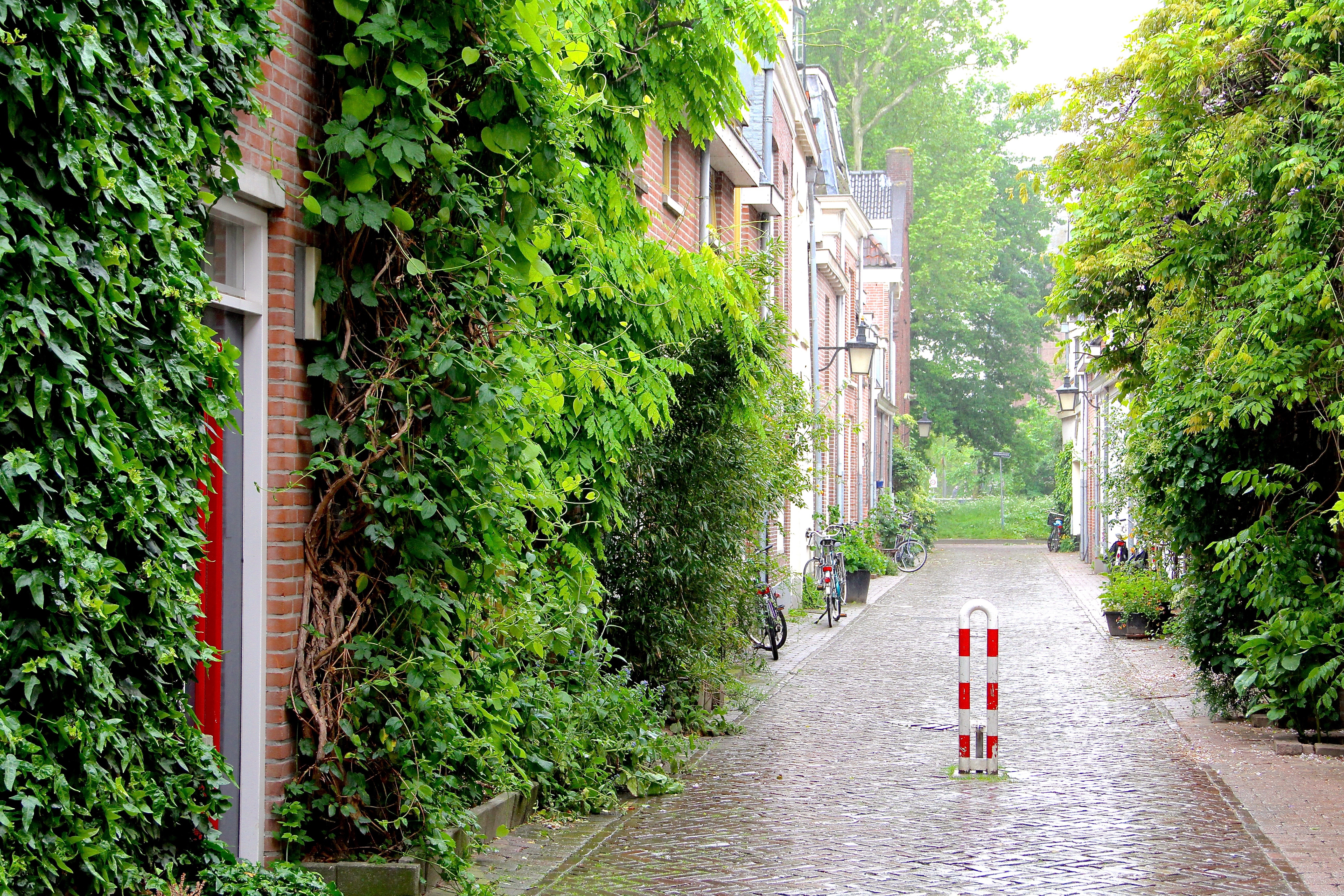 Utrecht photo, fine art photography, Julia Willard, Falling Off Bicycles