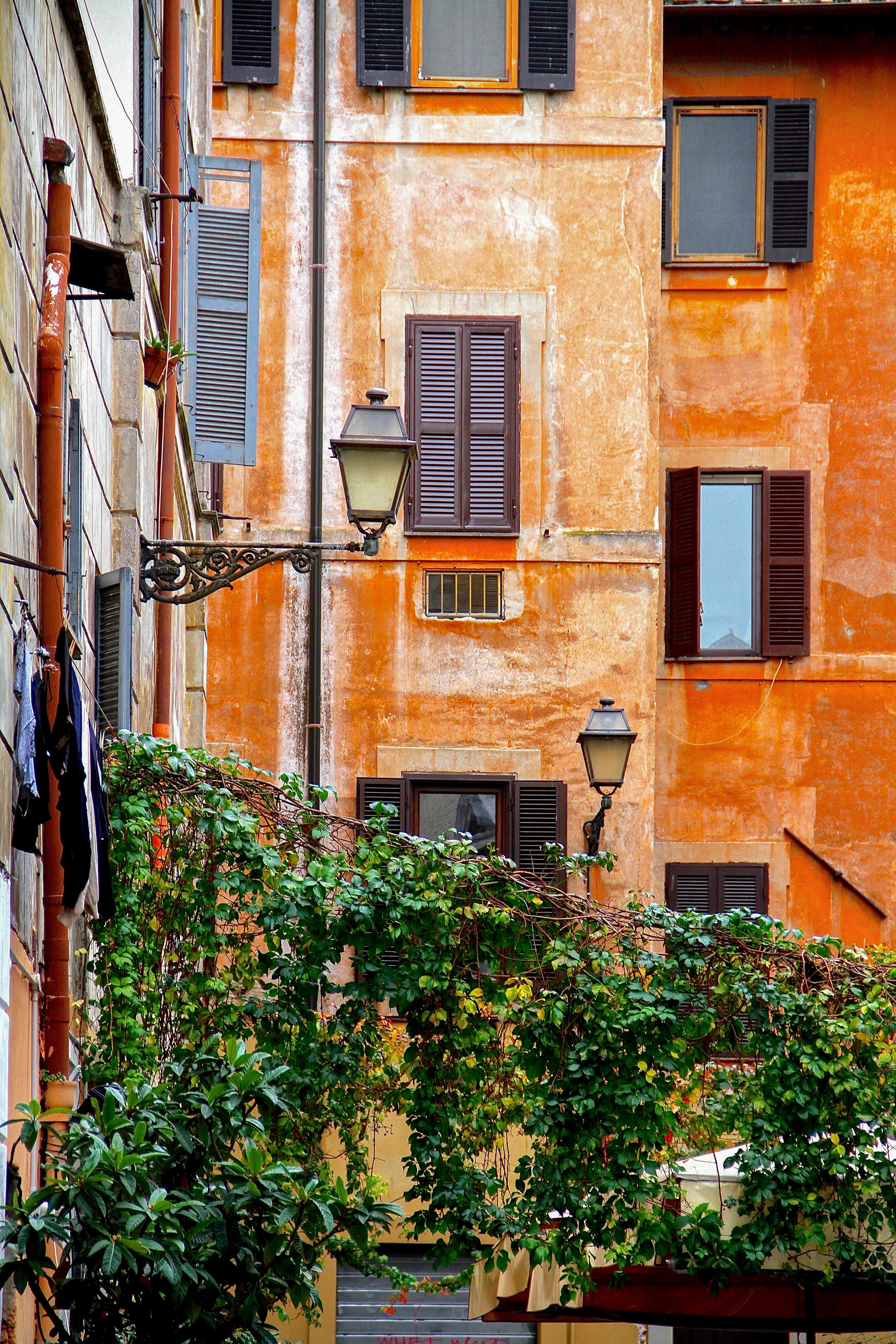 Rome, shutters, Julia Willard, Falling Off Bicycles, geraniums, vanishing point, Rome photo, lamppost, terracotta
