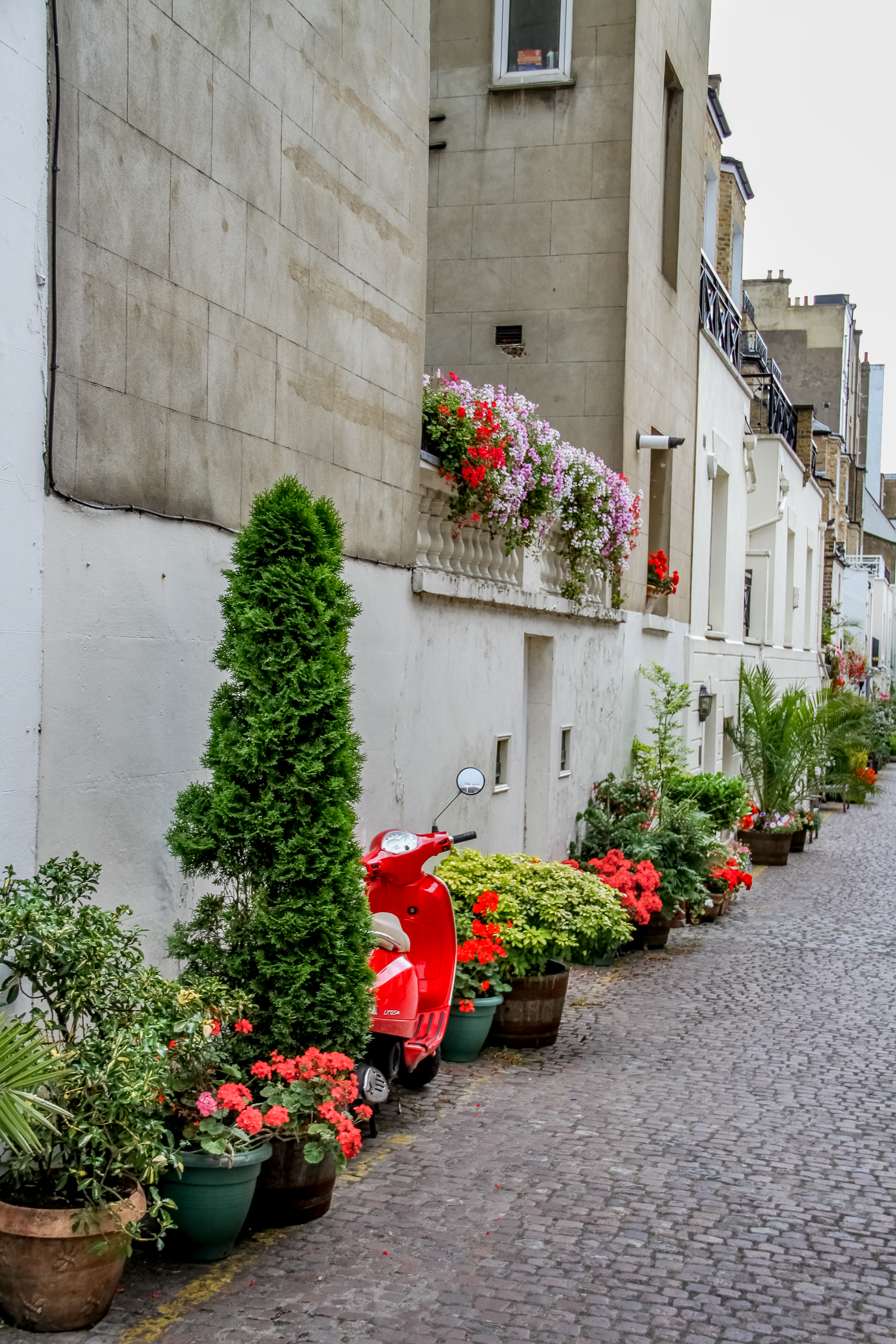 London, Vespa, Julia Willard, Falling Off Bicycles, geraniums, vanishing point, England photo