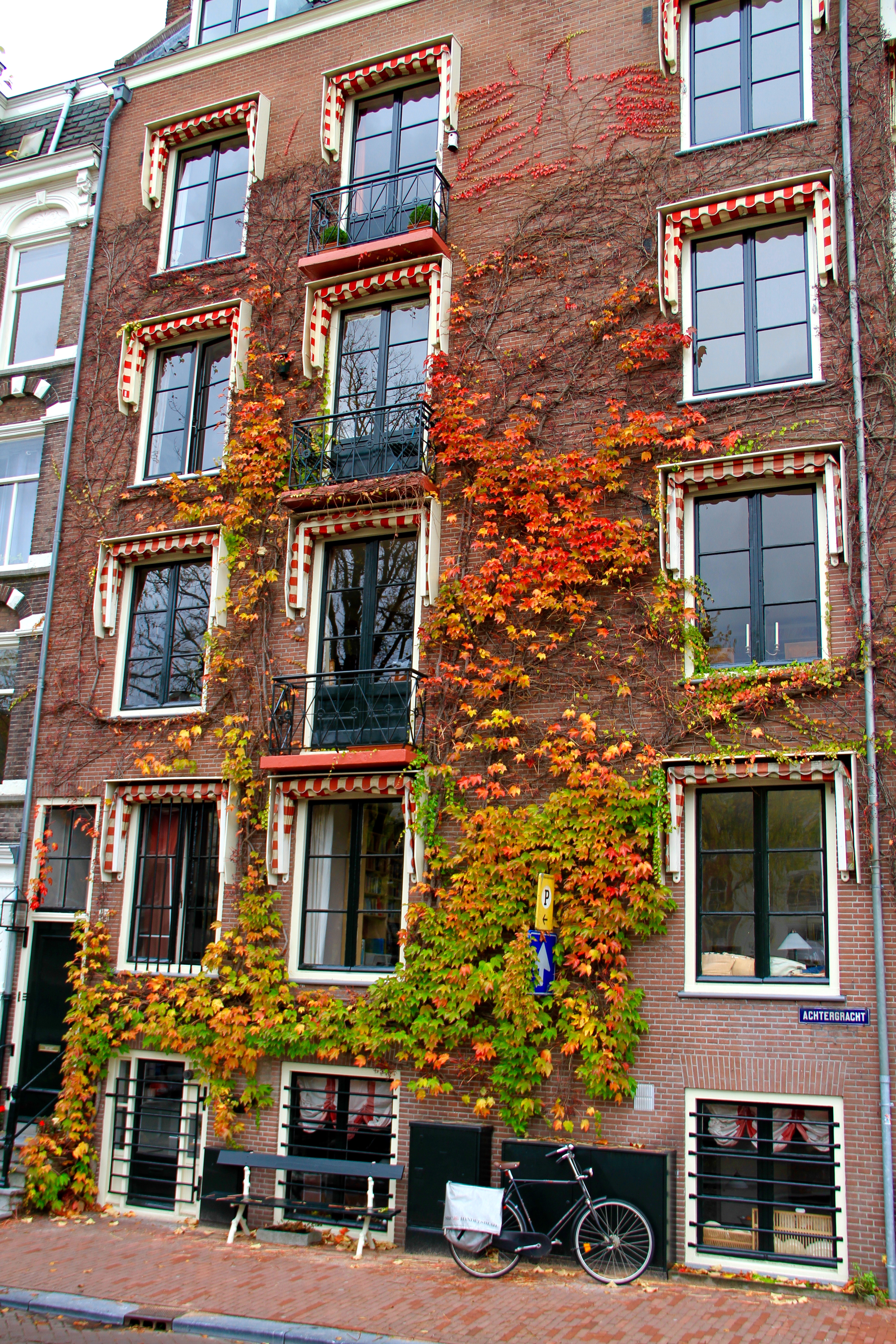 Amsterdam, autumn leaves, Julia Willard, Julie Willard, Falling Off Bicycles