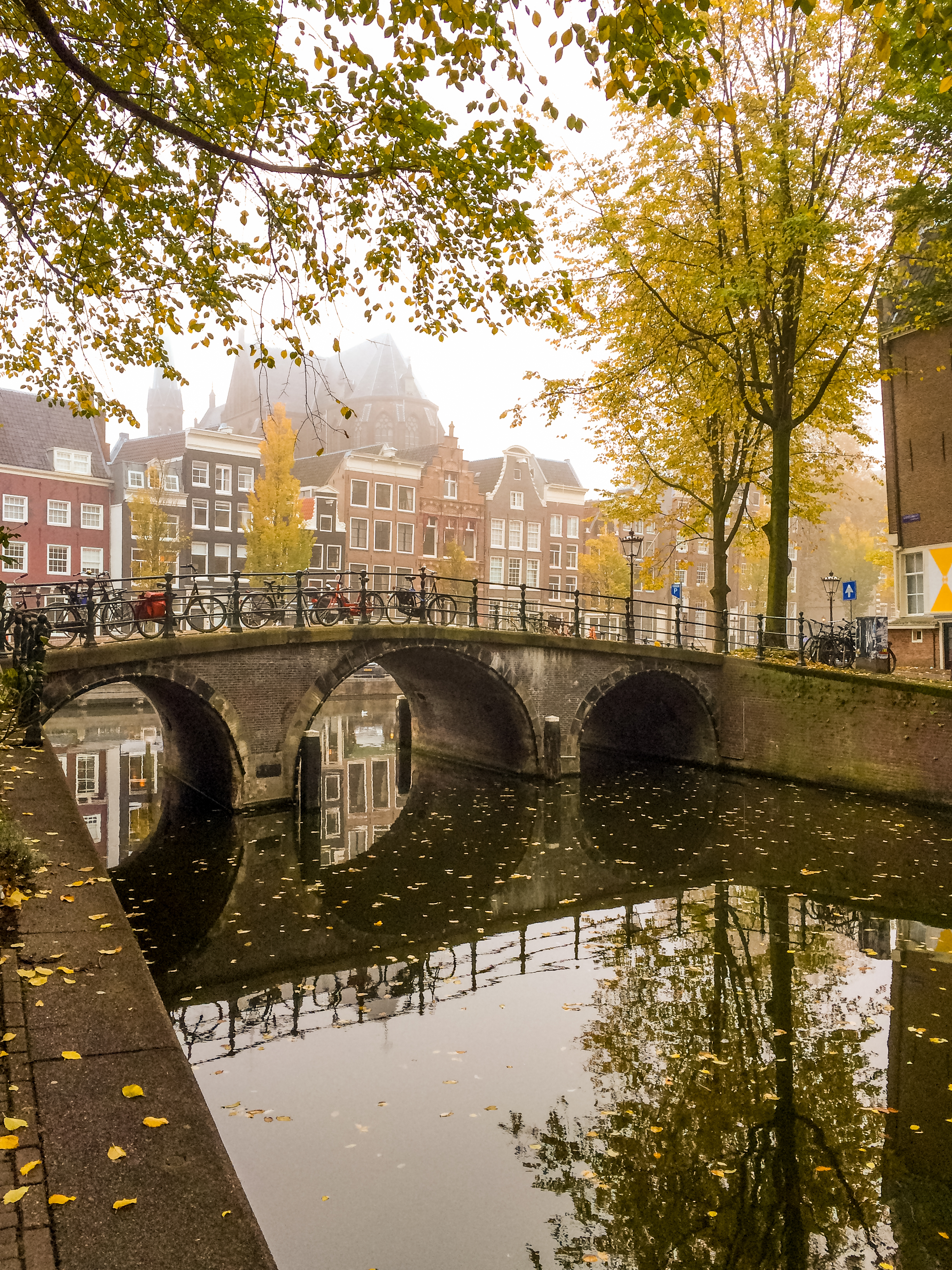 Julia Willard, Julie Willard, fall, autumn, Falling Off Bicycles, Amsterdam, canal, boats, Dutch scene