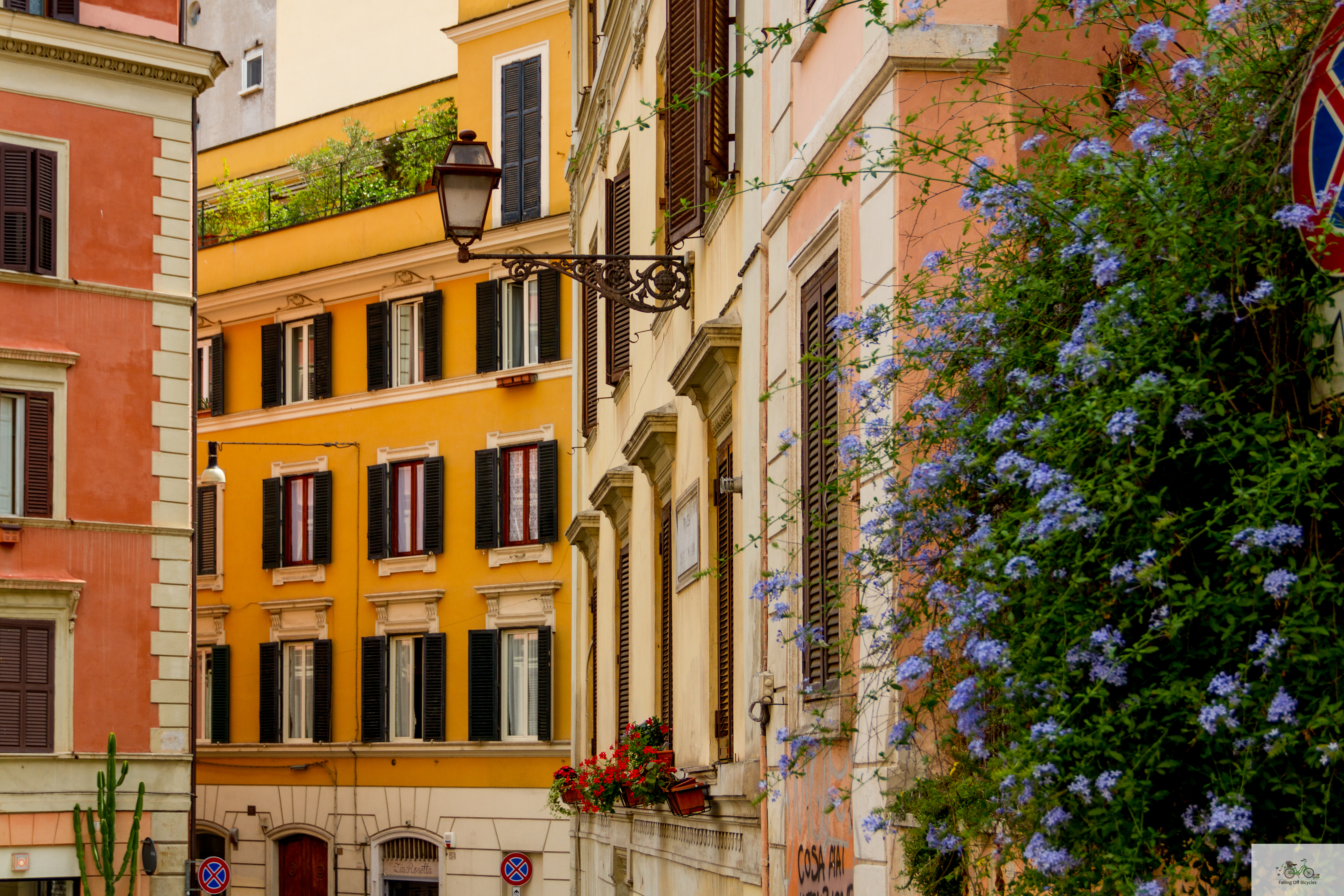 Julia Willard, Rome, Falling Off Bicycles, Julie Willard, Italy, shutters, colors of Rome, Roma