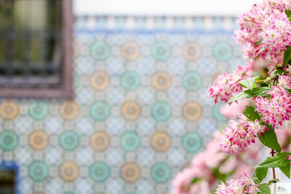 Grande Mosquée de Paris, Julia Willard, Falling Off Bicycles, France, Paris, blue tiles, Paris mosque