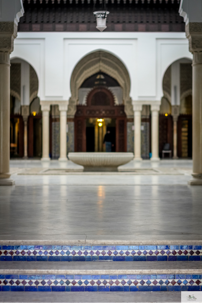 Grande Mosquée de Paris, Julia Willard, Falling Off Bicycles, France, Paris, blue tiles, Paris mosque