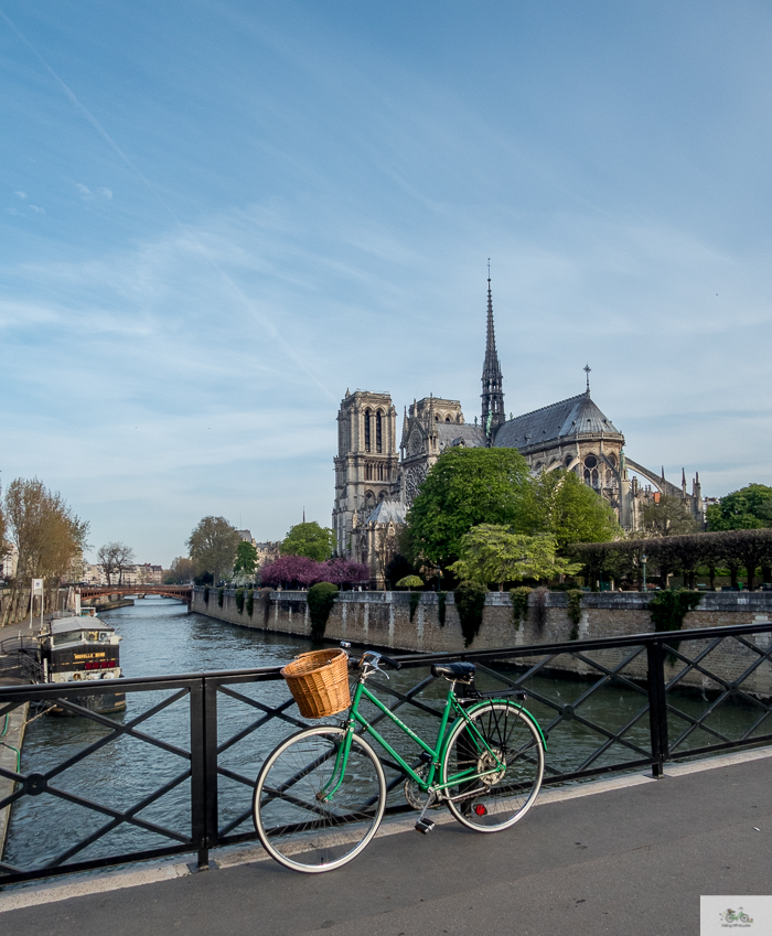 Julia Willard, Julie Willard, Julia Arias, Falling Off Bicycles, Notre Dame, Notre Dame fire, Paris church, spring in Paris, Paris flowers, cherry blossoms, pretty Paris, pink Paris, FOB bike, Julia's bike, bike, vélo, fiets