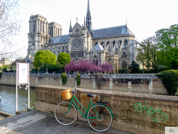 Julia Willard, Julie Willard, Julia Arias, Falling Off Bicycles, Notre Dame, Notre Dame fire, Paris church, spring in Paris, Paris flowers, cherry blossoms, pretty Paris, pink Paris, FOB bike, Julia's bike, bike, vélo, fiets