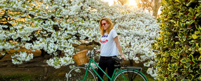 Julia Willard, Julie Willard, Falling Off Bicycles, Paris, Paris photographer, spring in Paris, biking in Paris, Notre Dame, wisteria, cherry blossoms in Paris, green bike blog, green bike instagram, spring flowers