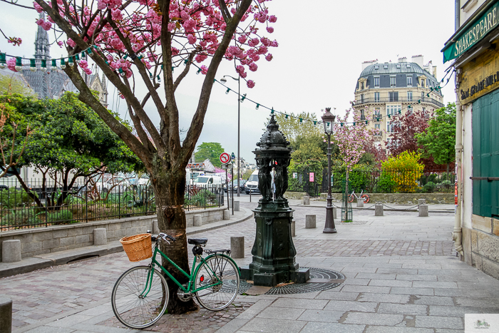 Julia Willard, Julie Willard, Falling Off Bicycles, Paris, Paris photographer, spring in Paris, biking in Paris, Notre Dame, wisteria, cherry blossoms in Paris, green bike blog, green bike instagram, spring flowers