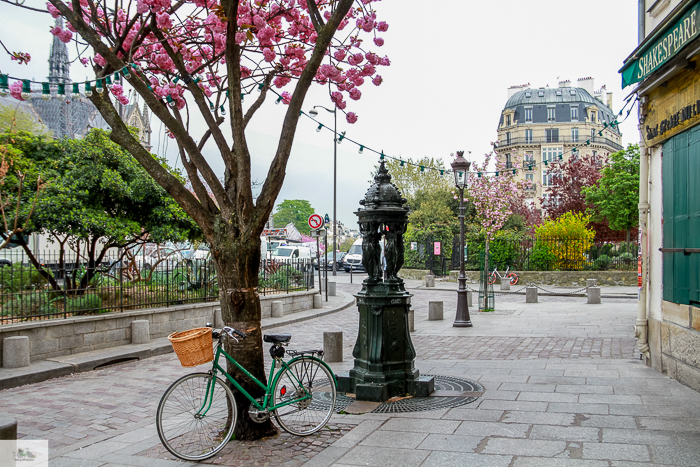 Julia Willard, Julia Arias, Julie Willard, Falling Off Bicycles, Spring in Paris, France, Notre Dame, cherry blossoms