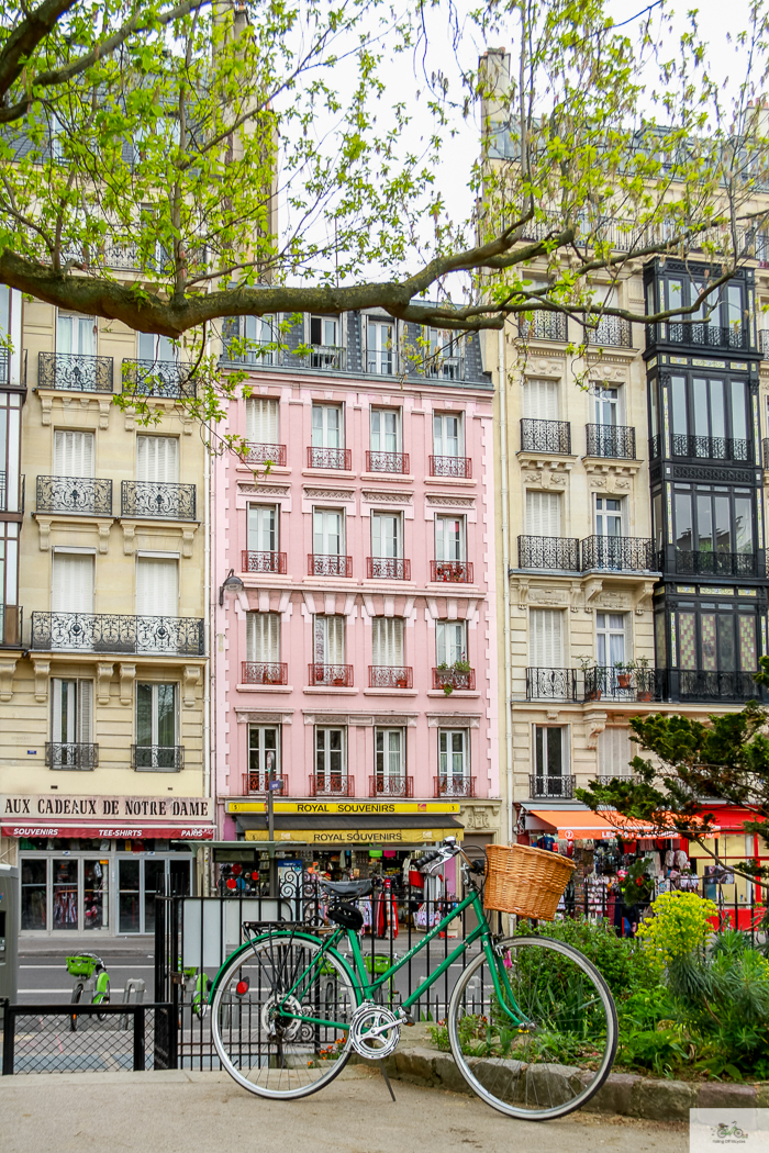 Julia Willard, Julie Willard, Falling Off Bicycles, Paris, Paris photographer, spring in Paris, biking in Paris, Notre Dame, wisteria, cherry blossoms in Paris, green bike blog, green bike instagram, spring flowers