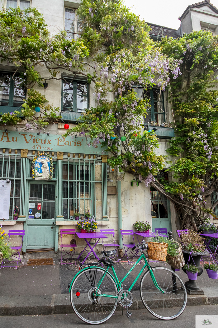 Julia Willard, Julie Willard, Falling Off Bicycles, Paris, Paris photographer, spring in Paris, biking in Paris, Notre Dame, wisteria, cherry blossoms in Paris, green bike blog, green bike instagram, spring flowers