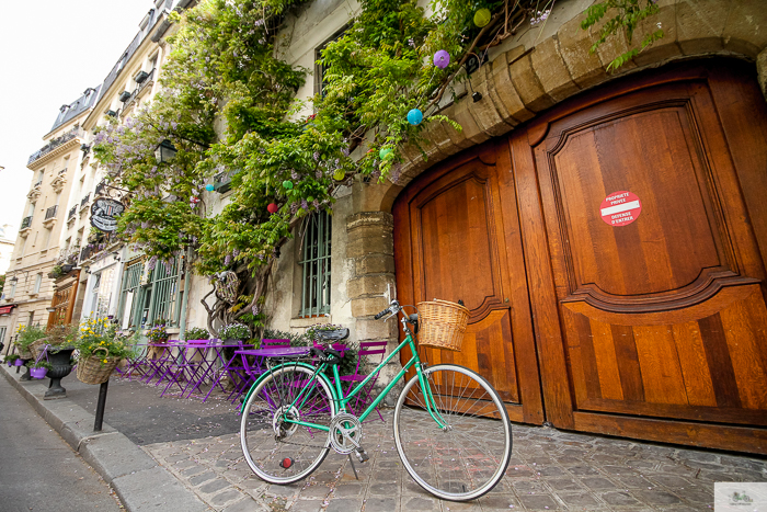 Julia Willard, Julie Willard, Falling Off Bicycles, Paris, Paris photographer, spring in Paris, biking in Paris, Notre Dame, wisteria, cherry blossoms in Paris, green bike blog, green bike instagram, spring flowers