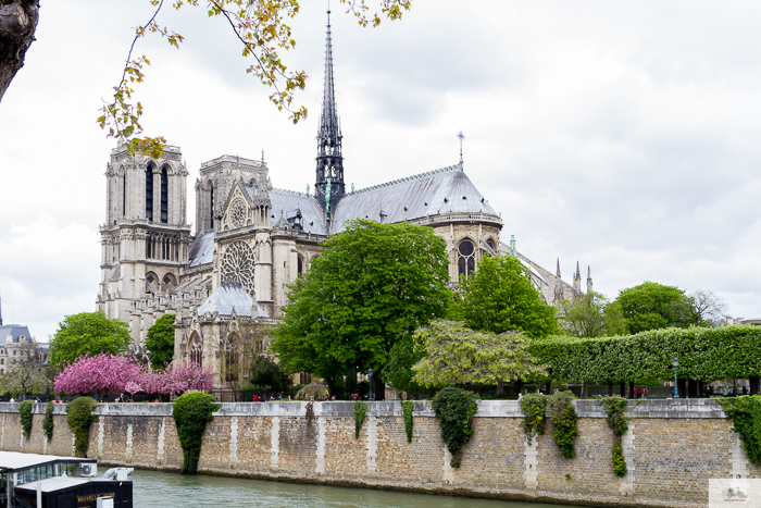 🌸⛪️ Photographic Tribute to Notre Dame 🍂⛪️