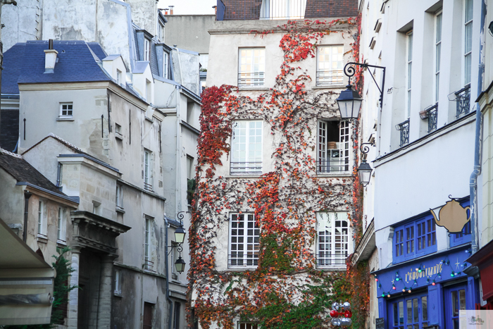 Julia Willard, Julie Willard, Julia Arias, fall in Paris, Notre Dame, Montmartre, Jardin du Luxembourg, Falling Off Bicycles, American in Paris