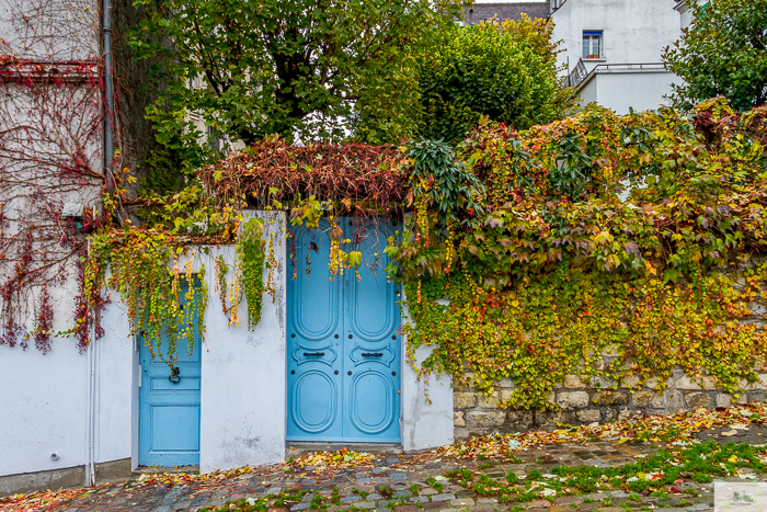 Julia Willard, Julie Willard, Julia Arias, fall in Paris, Notre Dame, Montmartre, Jardin du Luxembourg, Falling Off Bicycles, American in Paris