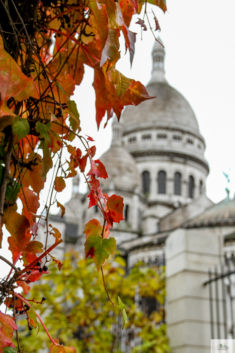 Julia Willard, Julie Willard, Julia Arias, fall in Paris, Notre Dame, Montmartre, Jardin du Luxembourg, Falling Off Bicycles, American in Paris