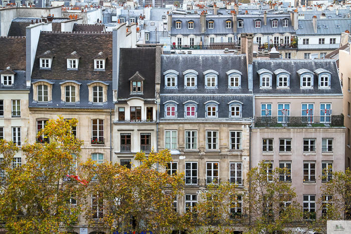 Julia Willard, Julie Willard, Julia Arias, fall in Paris, Notre Dame, Montmartre, Jardin du Luxembourg, Falling Off Bicycles, American in Paris