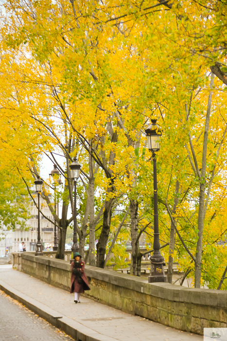 Julia Willard, Julie Willard, Julia Arias, fall in Paris, Notre Dame, Montmartre, Jardin du Luxembourg, Falling Off Bicycles, American in Paris