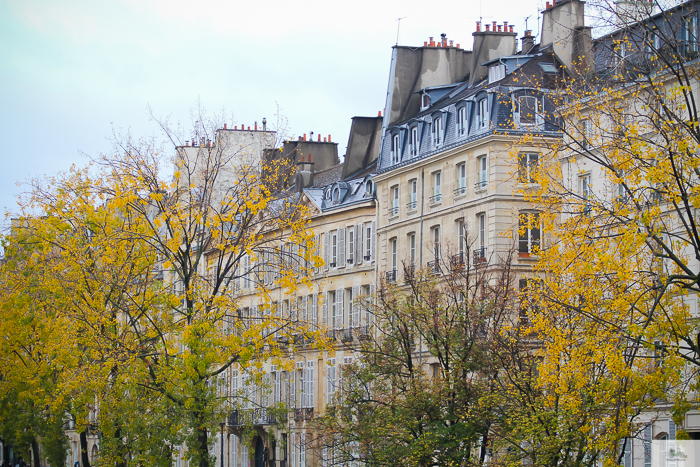 Julia Willard, Julie Willard, Julia Arias, fall in Paris, Notre Dame, Montmartre, Jardin du Luxembourg, Falling Off Bicycles, American in Paris