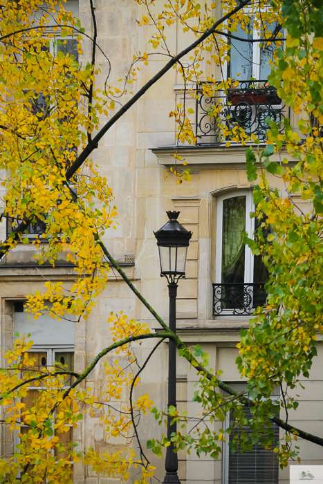 Julia Willard, Julie Willard, Julia Arias, fall in Paris, Notre Dame, Montmartre, Jardin du Luxembourg, Falling Off Bicycles, American in Paris