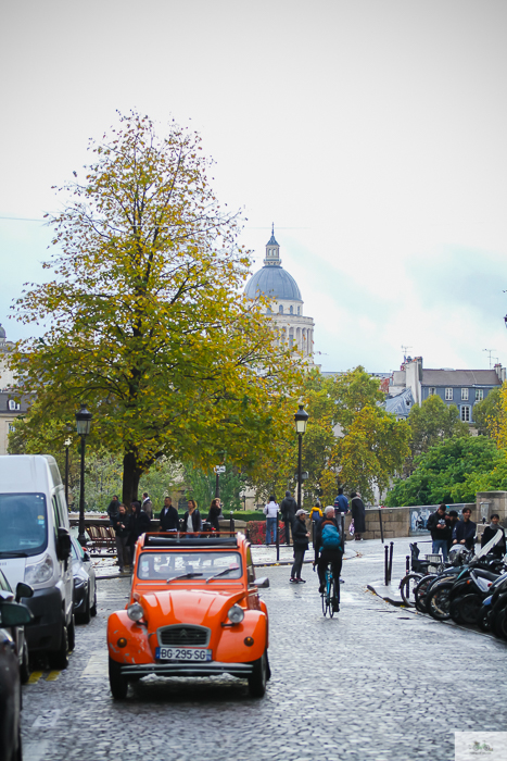 Julia Willard, Julie Willard, Julia Arias, fall in Paris, Notre Dame, Montmartre, Jardin du Luxembourg, Falling Off Bicycles, American in Paris