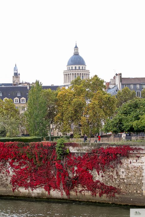 Julia Willard, Julie Willard, Julia Arias, fall in Paris, Notre Dame, Montmartre, Jardin du Luxembourg, Falling Off Bicycles, American in Paris