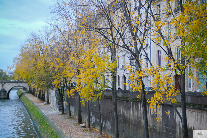 Julia Willard, Julie Willard, Julia Arias, fall in Paris, Notre Dame, Montmartre, Jardin du Luxembourg, Falling Off Bicycles, American in Paris