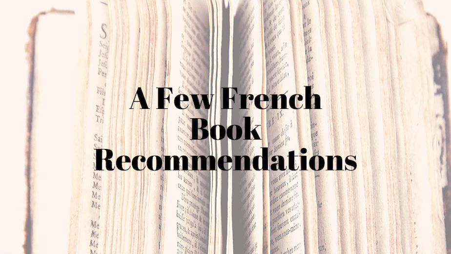 🇫🇷📚 Some of My Favorite Books About France 🇫🇷📖