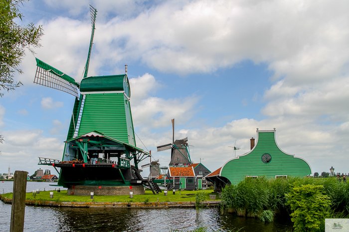 Julia Willard, Julie Willard, Julia Arias, Dutch windmills, windmills, Falling Off Bicycles, cycle Holland, biking Amsterdam, Amsterdam day trip, Spring in Holland, Netherlands spring, Zaanse Schans, Zaandam