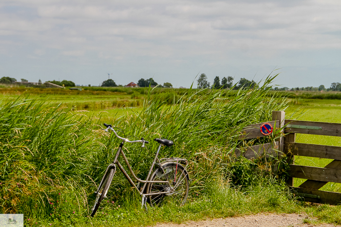 Julia Willard, Julie Willard, Julia Arias, Dutch windmills, windmills, Falling Off Bicycles, cycle Holland, biking Amsterdam, Amsterdam day trip, Spring in Holland, Netherlands spring, Zaanse Schans, Zaandam