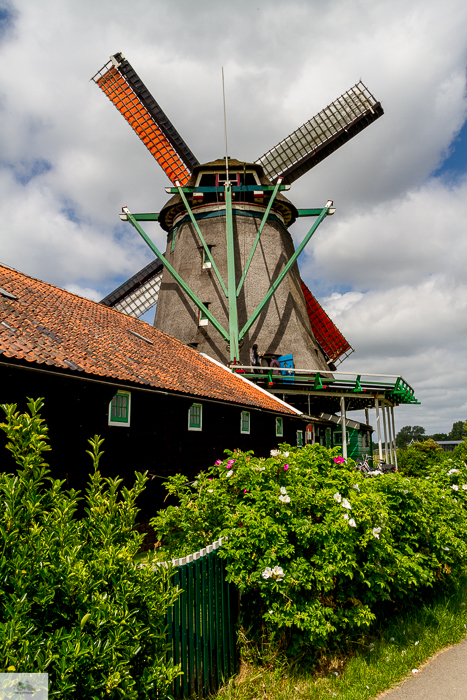 Julia Willard, Julie Willard, Julia Arias, Dutch windmills, windmills, Falling Off Bicycles, cycle Holland, biking Amsterdam, Amsterdam day trip, Spring in Holland, Netherlands spring, Zaanse Schans, Zaandam