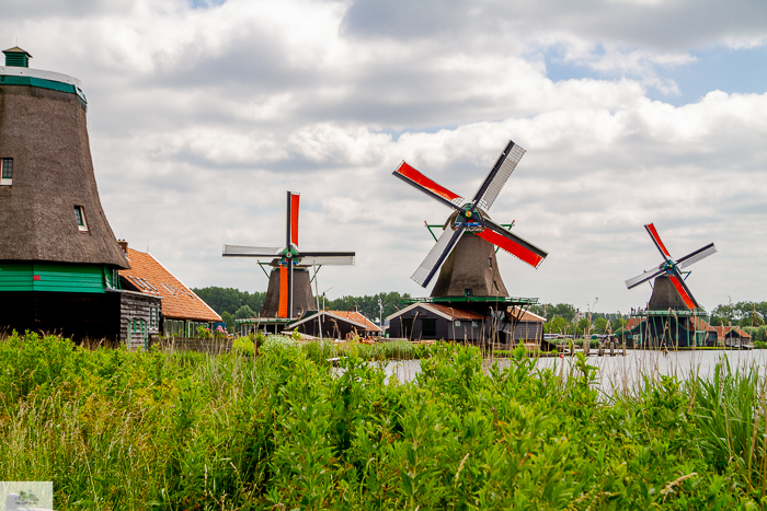 Julia Willard, Julie Willard, Julia Arias, Dutch windmills, windmills, Falling Off Bicycles, cycle Holland, biking Amsterdam, Amsterdam day trip, Spring in Holland, Netherlands spring, Zaanse Schans, Zaandam